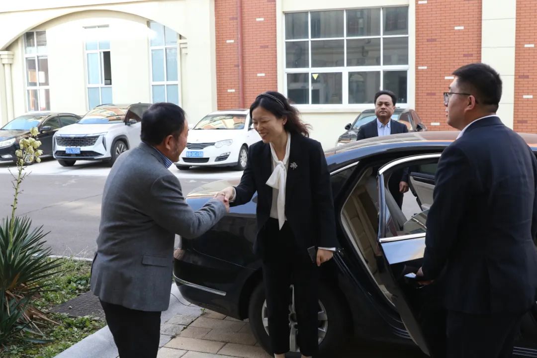 Qingdao vestkystens nye distriktsleder Xue Wenqian besøkte Tianyi Muzu for forskning og veiledning