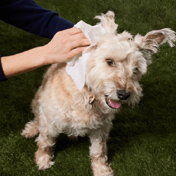 Fresh & Clean: Wipes for Pets