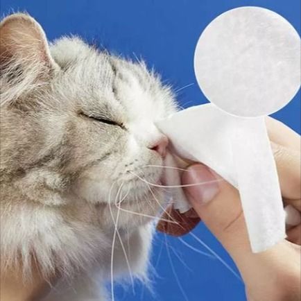 Pet Wipe Cloth ： Gadgets for pleie av kjæledyrhygiene