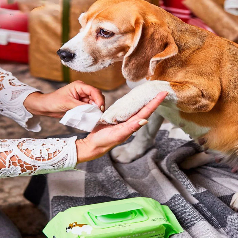 Pet Wipes reiser